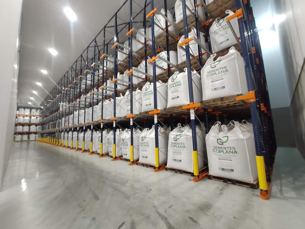 Galpão Coplana com big bags de sementes certificadas em estantes industriais