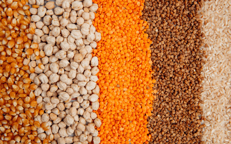 Variedades de sementes agrícolas: soja, milho, sorgo e trigo